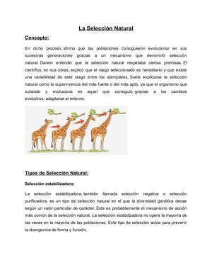 Tarea De Biología Calameo Mateo Agreda