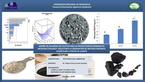 DISEÑO DE UN MEDIO DE CULTIVO PARA LA PRODUCCIÓN DE BIOMASA DE MICROBACTERIUM SP. (BSC3) PARA LA GENERACIÓN DE MATERIA ORGÁNICA HUMIFICADA A PARTIR DE LIGNITO