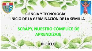 Germinacion De La Semilla Iii Ciclo
