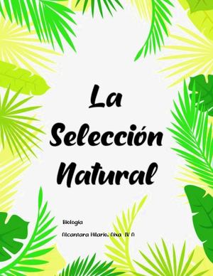 Selección Natural