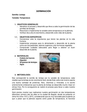 Portafolio De Germinación Lenteja Docx2