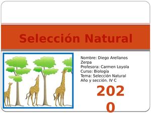 Seleccion Natural