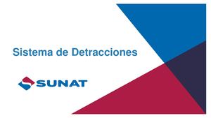 Sistema De Detracciones Cca