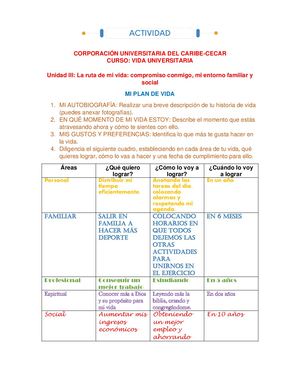 Formato Mi Plan De Vida