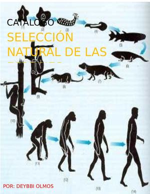 SELECCIÓN NATURAL