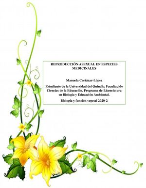 Mc Plantas Medicinales