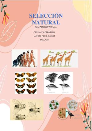 Seleccion Natural Biologia