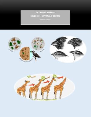 Seleccion Natural Renato Barzola