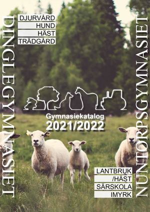 Gymnasiekatalog 21 22 Dingle/Nuntorp