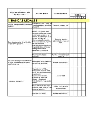 Estandares Minimos Sst