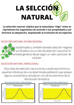 Carranza Mauricio Iva Biologia