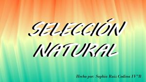 Sophia Ruiz Codina Iv°b F3 Selección Natural