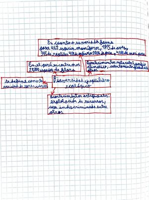 6to A Nro32 R8 Tiago Suárez Salas