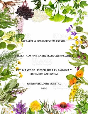 Portafolio Reproducción Asexual Final