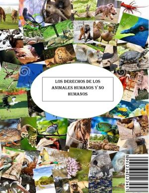 Derechos De Los Animales