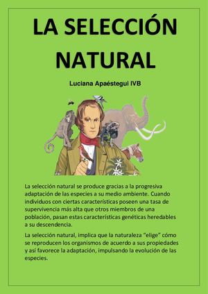 La Selección Natural Luciana Apaéstegui IVB