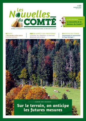 Nouvelles du Comté N° 111 - Automne 2020