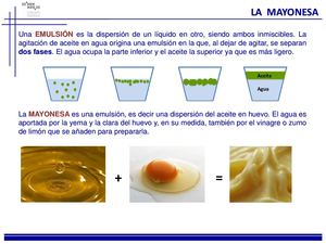 Fichamayonesa 2
