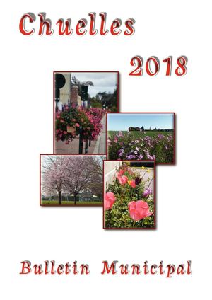 Bulletin Municipal 2018
