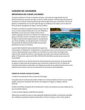 Cuidado De Los Mares