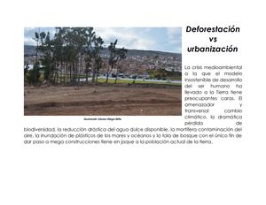 Deforestación Vs Urbanización Propuesta De Fotoreportaje