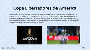 Copa Libertadores