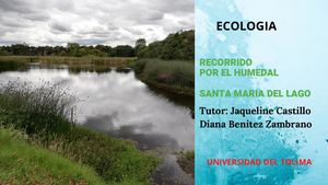 Recorrido Por El Humedal Santa Maria Del Lago