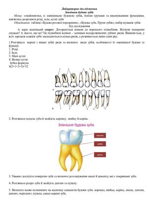 Лабораторне дослідження