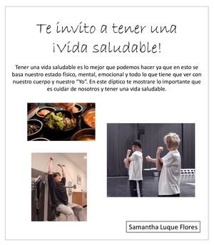 Diptico Vida Saludable