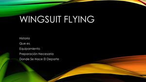 Wingsuit Flying