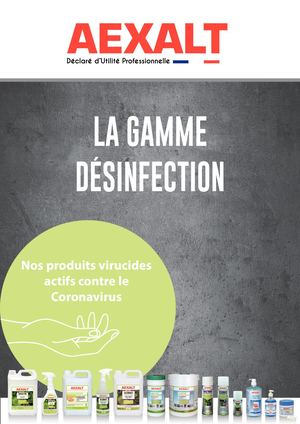 Flyer Desinfection A4