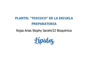 Cuestionario de Lípidos