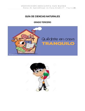 Guía Grado 3° 2da Entrega 2020