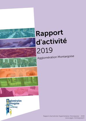 Rapport d'activité 2019 - Agglomération Montargoise