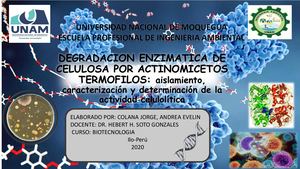 Degradacion Enzimatica De Celulosa Por Actinomicetos Termofilos Aislamiento, Caracterización Y Determinación De La Actividad Celulolítica