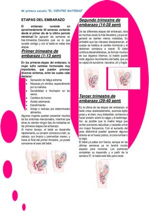 Rotafolio Virtual Mi primera escuela "El vientre materno"