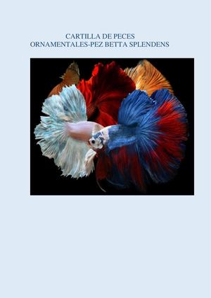Cartilla De Peces Ornamentales Grupo Evelsy