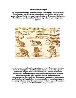 Revista Producto Compentencial