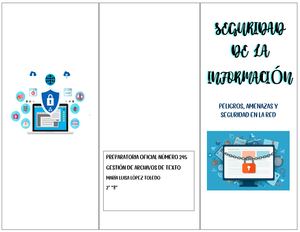 Triptico Seguridad De La Información María Luisa López Toledo
