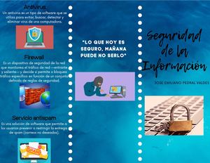 Triptico (Seguridad De La Información)