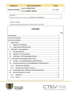 Sistema Osteomuscular