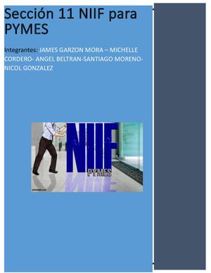 Seccion 11 Niif Pymes (2)