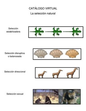 Selección natural (Catalogo Virtual)