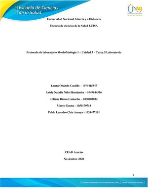 Sistema Respiratorio