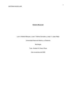 Libro, Sistema Muscular