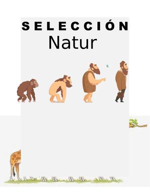 Selección Natural