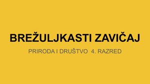 Brežuljkasti Zavičaj