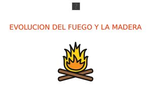 Evolucion Del Fuego Y La Madera