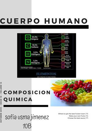 Cuerpo Humano