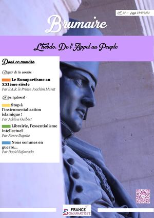 Brumaire n° 29